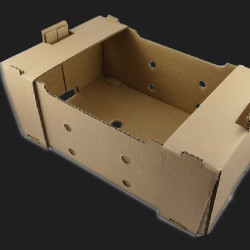 #12X1PINTE BOÎTE MAÎTRESSE POUR 12 CLAMSHELLS (1 PINTE) - BLEUETS ET FRAISES <br>16