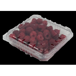 #3708 CLAMSHELL FRAMBOISE 170G <br>5X5X1 3/4