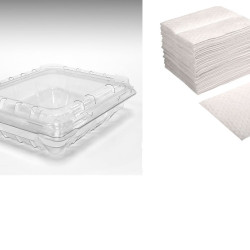 #5040T CLAMSHELL FRAMBOISE 120G <br>5X4X1 1/2 + TAMPON #5040T CLAMSHELL FRAMBOISE 120G <br>5X4X1 1/2 + TAMPON