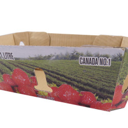 #71AFRP-C PANIER CARTON FRAISE CANADA <br>1 LT