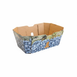 #71B PANIER BLEUET 1L <br>1 LT CANADA