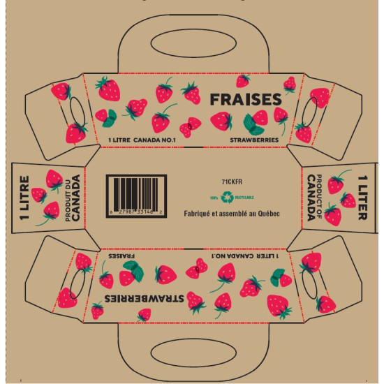 #71CKFR PANIER FRAISE CANADA AVEC ANSE 