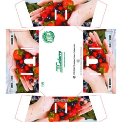 #71PF PANIER PETIT FRUIT 1L <br>1LT CANADA #71PF PANIER PETIT FRUIT 1L <br>1LT CANADA