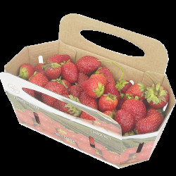 #72FRP-C PANIER FRAISE CANADA 2L <br>2LT #72FRP-C PANIER FRAISE CANADA 2L <br>2LT