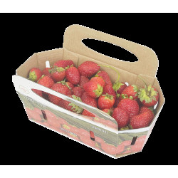 #72FRP-C PANIER FRAISE CANADA 2L <br>2LT