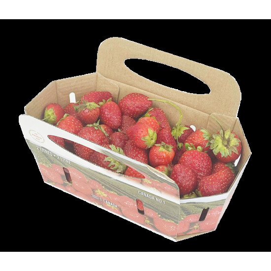 #72FRP-C PANIER FRAISE CANADA 2L <br>2LT #72FRP-C PANIER FRAISE CANADA 2L <br>2LT