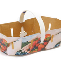 #72PF PANIER PETIT FRUIT 2L <br>2LT CANADA #72PF PANIER PETIT FRUIT 2L <br>2LT CANADA