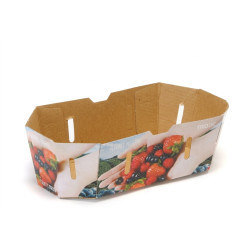 #72PF PANIER PETIT FRUIT 2L <br>2LT CANADA