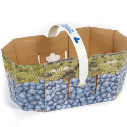 #73B PANIER BLEUET 3L 3LT CANADA