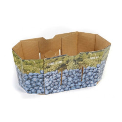 #73B PANIER BLEUET 3L <br>3LT CANADA