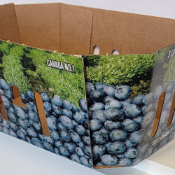 #73BG PANIER BLEUET 3L (GRAND TROU) 