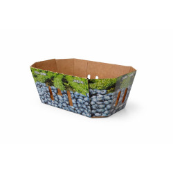 #73BG PANIER BLEUET 3L (GRAND TROU) <br>3LT CANADA