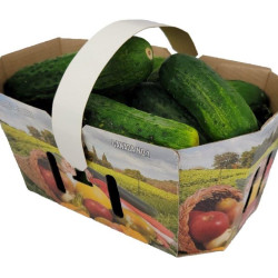 #73FL PANIER FRUIT & LEGUME 3L (anse non incluse) <br>3LT CANADA