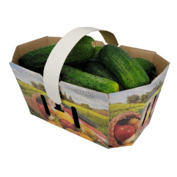 #73FL PANIER FRUIT & LEGUME 3L (anse non incluse) <br>3LT CANADA