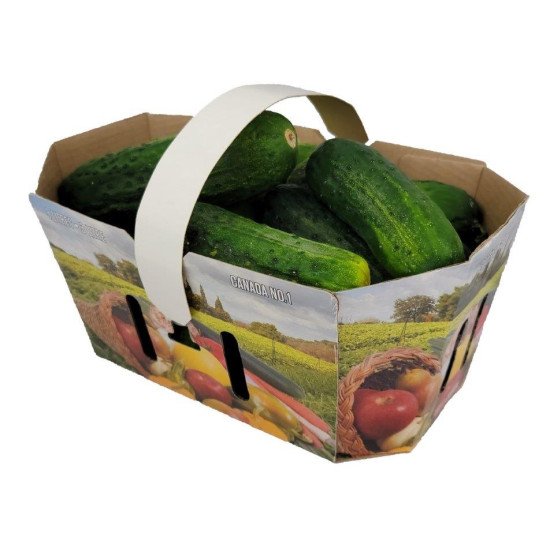#73FL PANIER FRUIT & LEGUME 3L (anse non incluse) <br>3LT CANADA #73FL PANIER FRUIT & LEGUME 3L (anse non incluse) <br>3LT CANADA