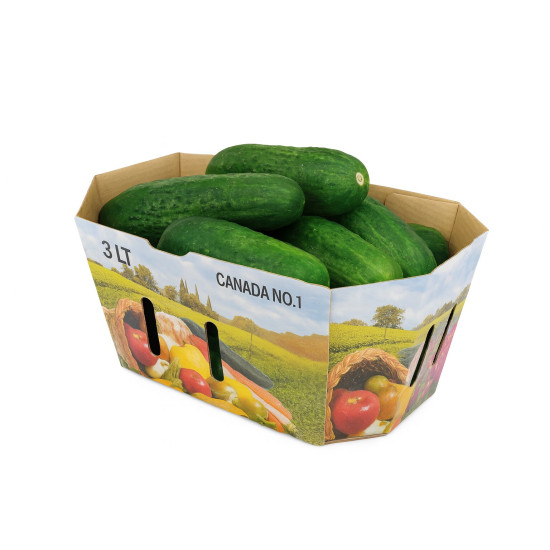 #73FLN PANIER 3L FRUITS ET LEGUMES <br>3LT