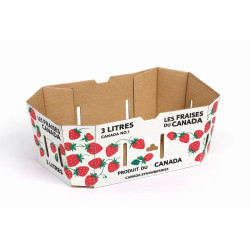 #73FRP-C PANIER FRAISE CANADA  <br>3LT 