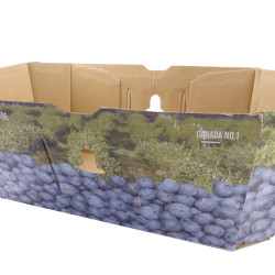 #74B PANIER BLEUET 4L <br>4LT CANADA