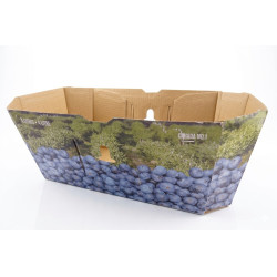 #74B PANIER BLEUET 4L <br>4LT CANADA