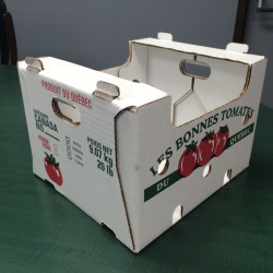 #7625 BOITE A TOMATE BLANCHE 20LB <br>20LB