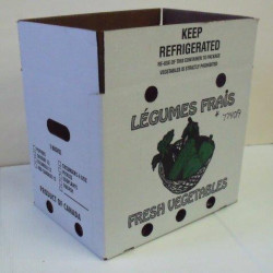 #7740A BTE LEGUME BLANCHE CIRÉE 50LB <br>15.5