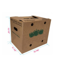 #7742PC BOITE A PIMENT 1 1/9 MINOT (10 AU RANG) CANADA <br>15.5X11.75X13.375