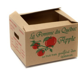 #7750 BOITE À POMME BRUNE QC <br>1/2 MIN./BUSH.