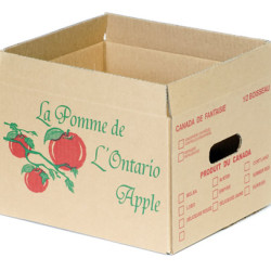 #7750ONT BOITE À POMME BRUNE ONTARIO <br>1/2 MIN./BUSH.