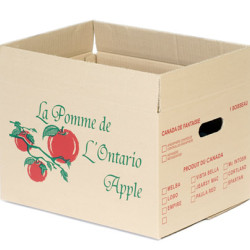 #7760ONT BOITE À POMME BRUNE ONTARIO <br>1 MIN./BUSH.