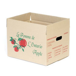 #7760ONT BOITE À POMME BRUNE ONTARIO <br>1 MIN./BUSH.