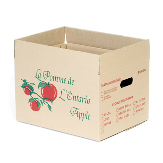#7760ONT BOITE À POMME BRUNE ONTARIO <br>1 MIN./BUSH.