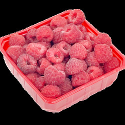 #8040 CASSEAU PLASTIQUE ROUGE <br>250ML #8040 CASSEAU PLASTIQUE ROUGE <br>250ML