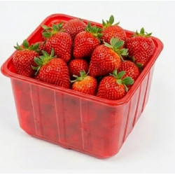 #8042 CASSEAU PLASTIQUE ROUGE CARRE <br>550ML