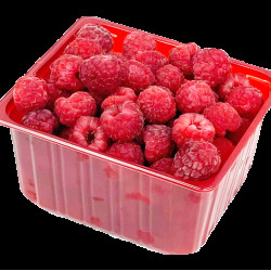 #8042-A CASS. PLAST. ROUGE RECTANGLE <br>550ML #8042-A CASS. PLAST. ROUGE RECTANGLE <br>550ML