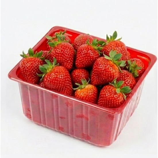 #8042-A CASS. PLAST. ROUGE RECTANGLE <br>550ML #8042-A CASS. PLAST. ROUGE RECTANGLE <br>550ML