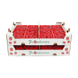 #8100N COFFRE FRAMBOISE  POUR 12 CASSEAUX CHOPINES <br>POUR/FOR ITEM # 8040