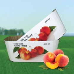 #83PE P.PECHE PROCESS <br>3LT