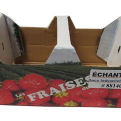 #88140-1F PANIER SNO-TOP FRAISE (ANSE INTÉGRÉE) QUEBEC <br>1 LT