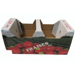 #88140-1F PANIER SNO-TOP FRAISE (ANSE INTÉGRÉE) QUEBEC <br>1 LT