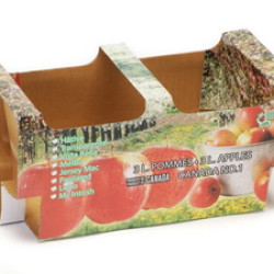 #88140P P.SNO-TOP POMME <br>3LT