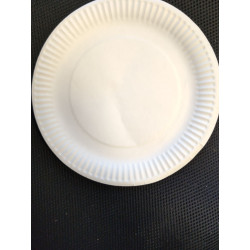 #ANP9 ASSIETTE EN PAPIER <br>9 INCH