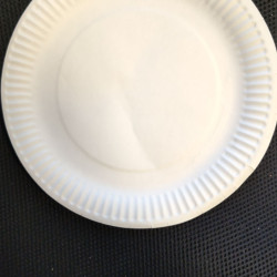 #ANP9 ASSIETTE EN PAPIER <br>9 INCH
