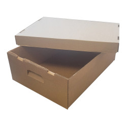 #B55-POULET-18KG-7 BOITE POULET 18 KG  (ECT 55) <br>18 KG 7