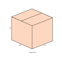 #BC151517 BTE CARTON BRUNE <br>15X15X17