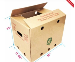 Boîtes de légumes frais