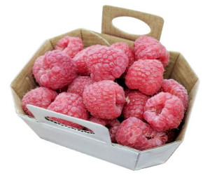 Contenants Framboises