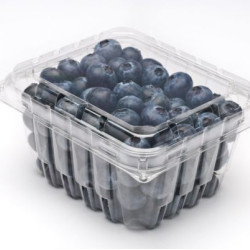 #H112 BLUEBERRY CLAMSHELL 340G 1 DRY PINT  