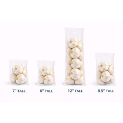 #LB55B-12 LADY BUG BLANC <br>5.5 X 12 POUCES