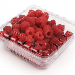 #LH170 CLAMSHELL 170G FRAMBOISE  <br>125*125*45mm