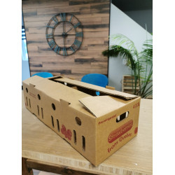 #MASTER34 MASTER A PANIER BRUN <br>4X3LT